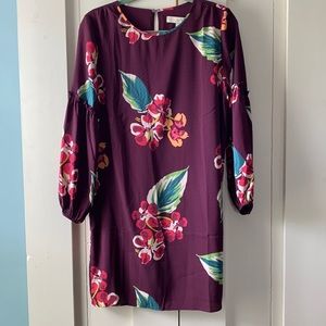 NWT Loft dress